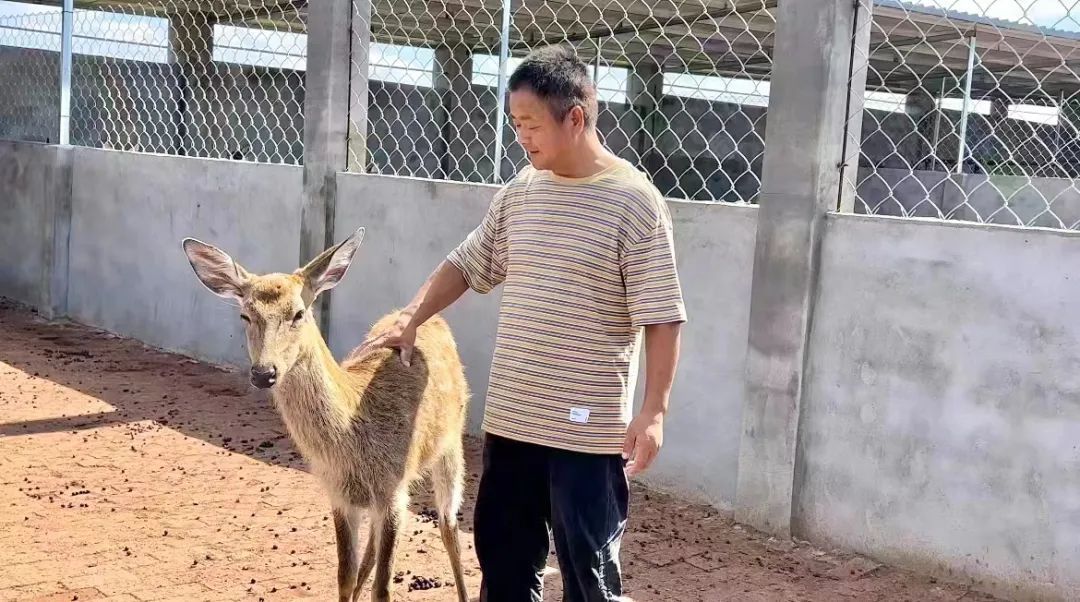 威尼斯人www.048.com